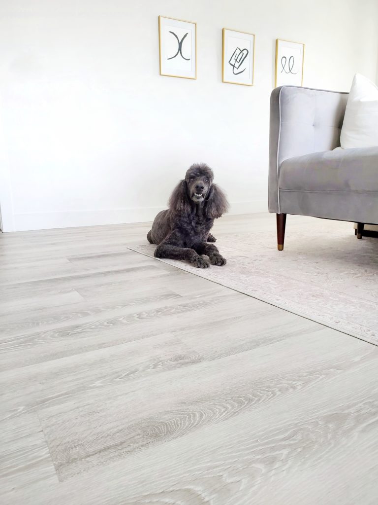 LifeProof Luxury Rigid Vinyl Plank Flooring Performance White Lane Decor